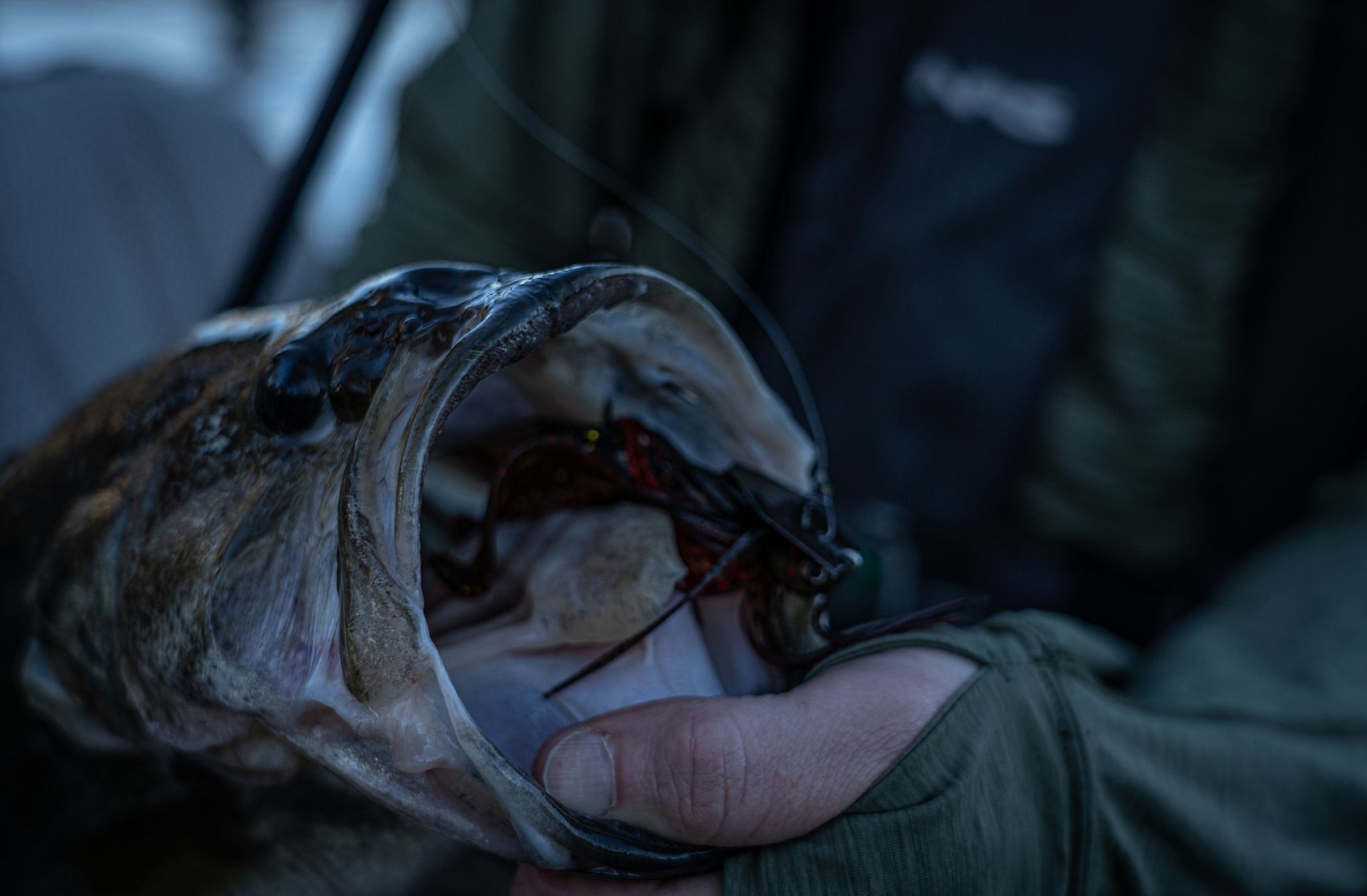 Waterways Fishing Series: Pre-Spawn Bass