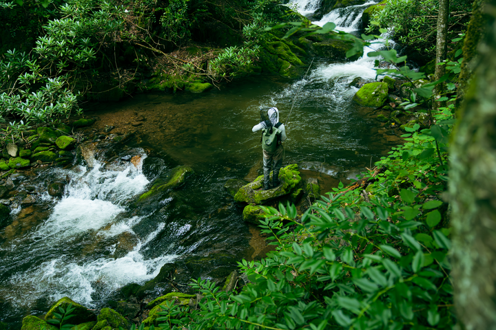 Summer Fly Fishing for Trout